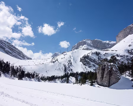 20190406-13h47m31s-DSC00287-V3 C'est grand