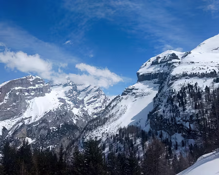 20190406-13h47m31s-DSC00287-V3b et pentu !