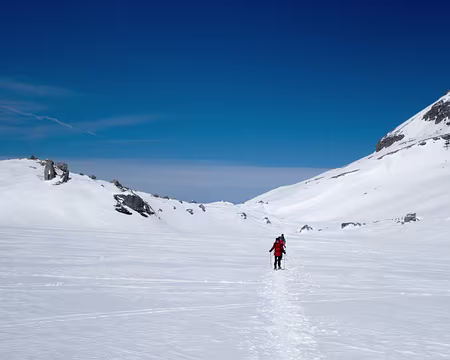 20190406-15h29m25s-DSC00300-V3 La preuve on marche dessus.