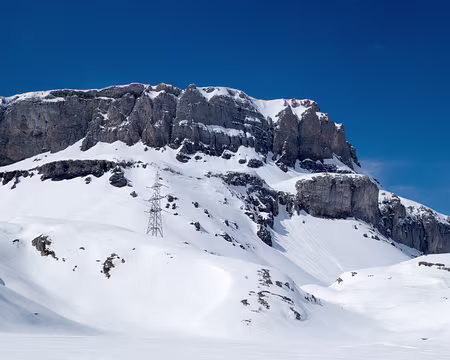 20190406-15h29m35s-DSC00302-V3 on remonte la piste de la ligne