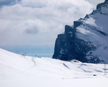 20190406-15h29m44s-DSC00304-V3