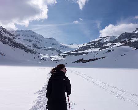 20190406-16h45m43s-DSC00329-V3