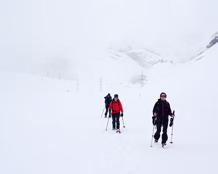 20190407-10h12m38s-DSC00358-V3a pour le grand blanc