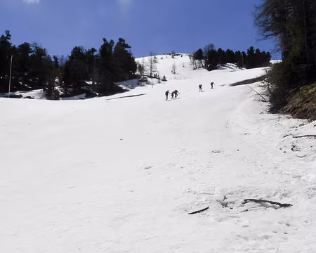 20190530-10h49m00s-P1110477-V3 via les pistes des skieurs