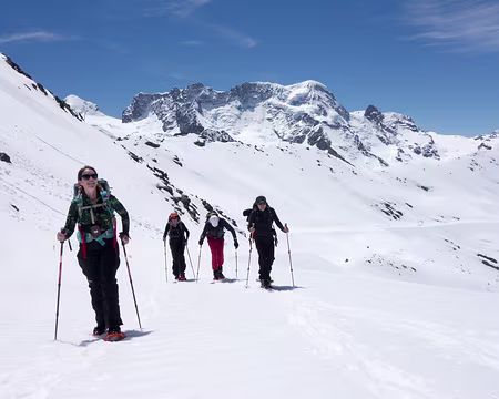 20190531-12h03m11s-P1110567-V3b plus facile