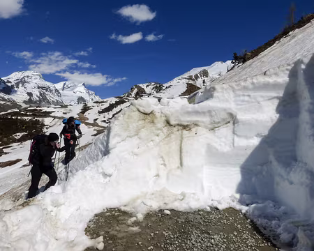 20190531-15h31m46s-P1110588-V3