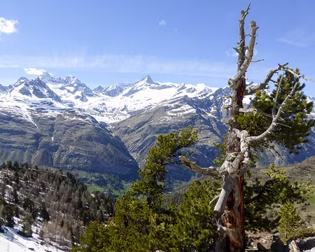 20190531-15h38m28s-P1110589-V3