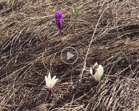 20190602-08h59m01s-DSC00768-V3b