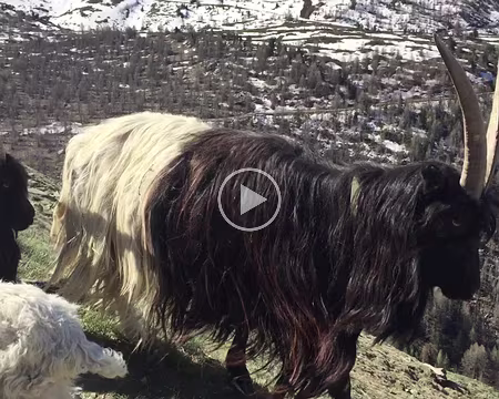 20190602-08h59m26s-DSC00774-V3b