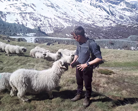 20190602-10h20m38s-20190602_102039-V3