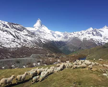 20190602-10h21m25s-IMG_2740-V3 Les points bleus