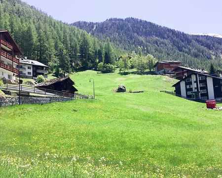 20190602-13h28m59s-image00002-V3 une ville vraiment verte