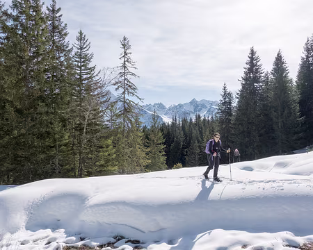 20200215-12h31m33s-XLA00193-V3