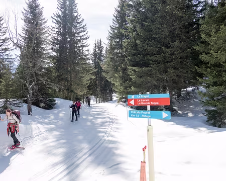 20200215-12h40m39s-XLA00195-V3 On ne touche pas aux pistes !