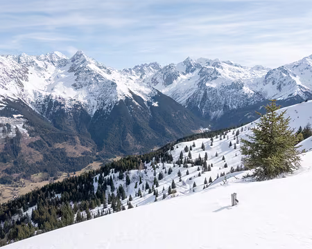 20200215-14h21m34s-XLA00200-V3 Sur la crête le panorama se dévoile