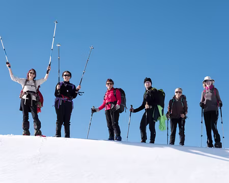 20200215-15h17m52s-XLA00213-V3 Bizarre ils semblent heureux...