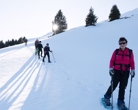 20200215-16h20m13s-XLA00222-V3 Ombre du soir