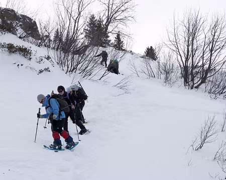 20200216-11h41m48s-XLA00305-V3 Il est préférable de renoncer