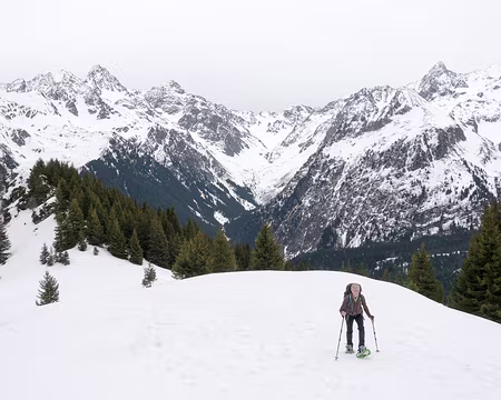 20200217-11h49m00s-XLA00375-V3