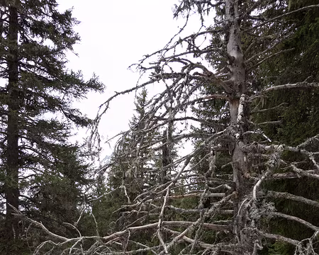 20200217-12h31m37s-XLA00378-V3