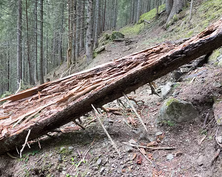 20200217-14h54m36s-XLA00382-V3