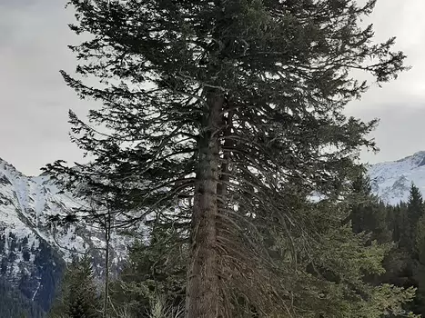 Nathalie Nathalie J, détail sortie