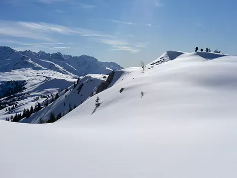 Radu Radu C, détail sortie
