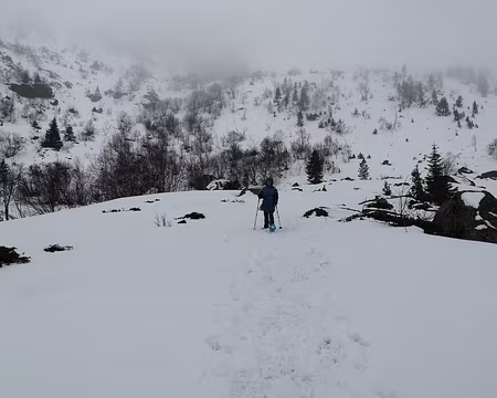 IMG_20210212_142328 Avant le soleil, le brouillard