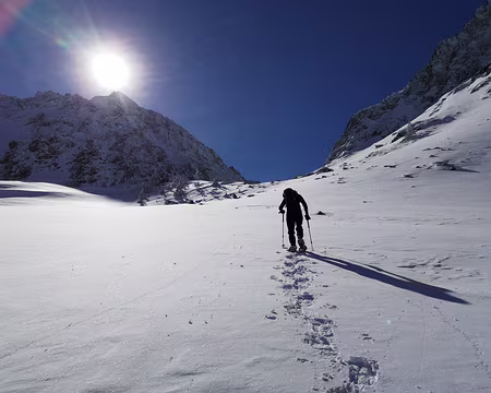 IMG_20210214_122136 Photo top 1