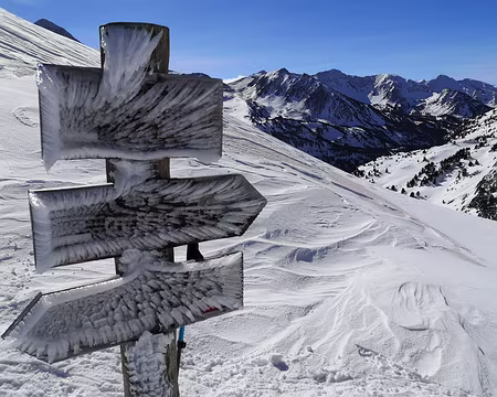 IMG_20210214_125007 On est là