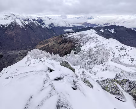 20210213-12h09m43s-PXL_20210213_110943352-V3