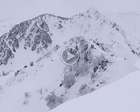 20210213-12h15m35s-PXL_20210213_111535305-V3