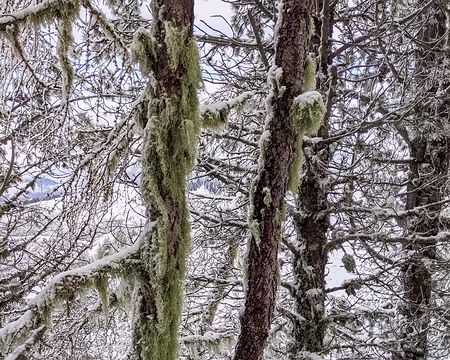 20210213-12h44m55s-PXL_20210213_114455173.MP-V3