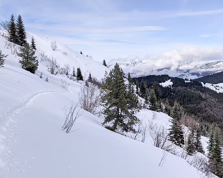 20210213-13h26m40s-PXL_20210213_122640689-V3