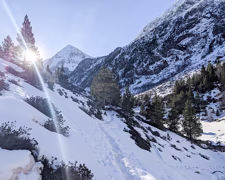 20210214-09h40m08s-PXL_20210214_084008005-V3