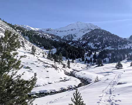 20210214-10h16m25s-PXL_20210214_091625160-V3