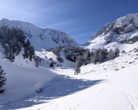 20210214-11h14m45s-PXL_20210214_101445362-V3 notre objectif au fond au milieu