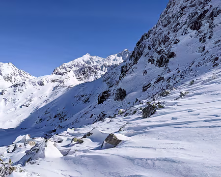 20210214-13h37m01s-PXL_20210214_123700995-V3