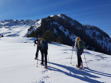 Charles Charles DV, détail sortie