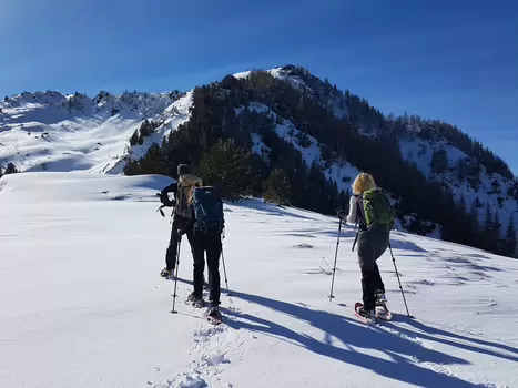 Charles Charles DV, détail sortie