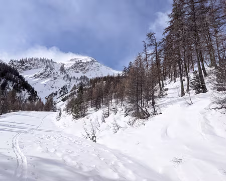 20210314-10h13m15s-PXL_20210314_091315698-V3 des pistes sans skieurs