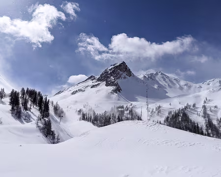 20210314-11h10m32s-PXL_20210314_101032961-V3 ni pistes, ni skieurs