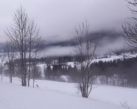 009 Sur le chemin du retour.