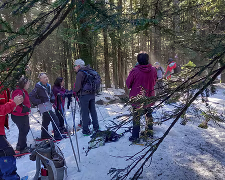 015 Dans les bois de Claret.