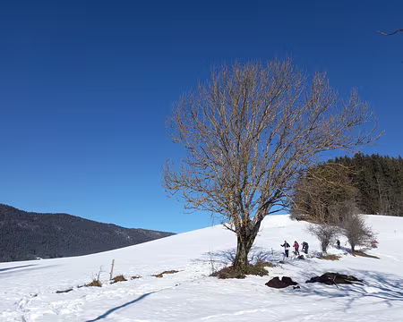 019 Vers Les Chaberts.