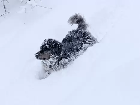 2021-12 Bourg Saint Maurice