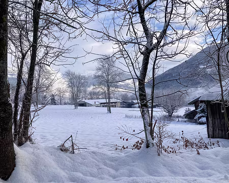 20211205-09h39m17s-IMG_2617-V3