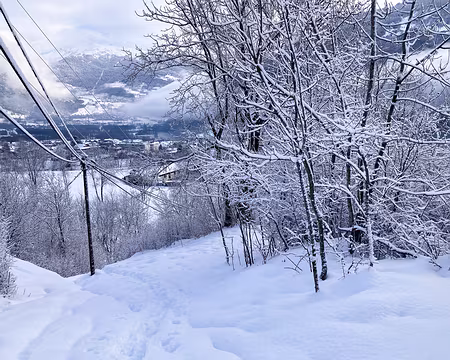 20211205-09h46m51s-IMG_2620-V3