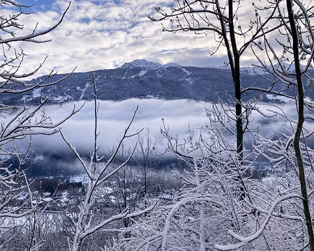 20211205-09h50m16s-IMG_2622-V3