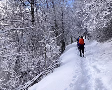 20211205-09h50m21s-IMG_2623-V3